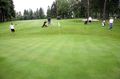Golf_2013_ZPTB_023